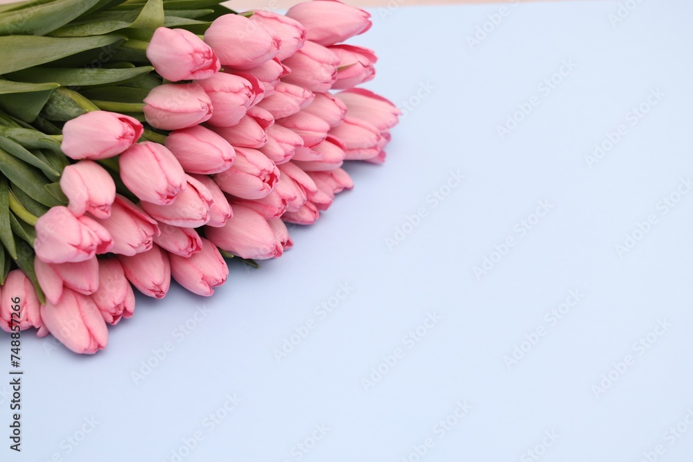 Bouquet of beautiful pink tulips on light grey background, closeup. Space for text