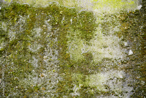 Decayed Concrete Wall Texture photo