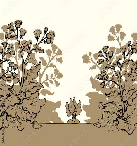 Weeds in the garden. Vector drawing