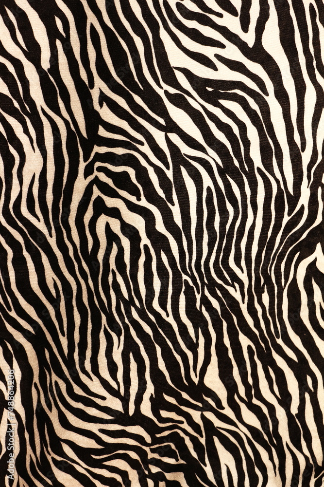 Zebra Texture Treasure Trove: Unveiling Graphic Resources Galore
