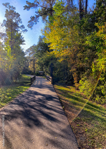 Walking path in a park with lens flare