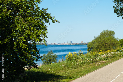 road in the park, photo of the park in summer, road, trees and river