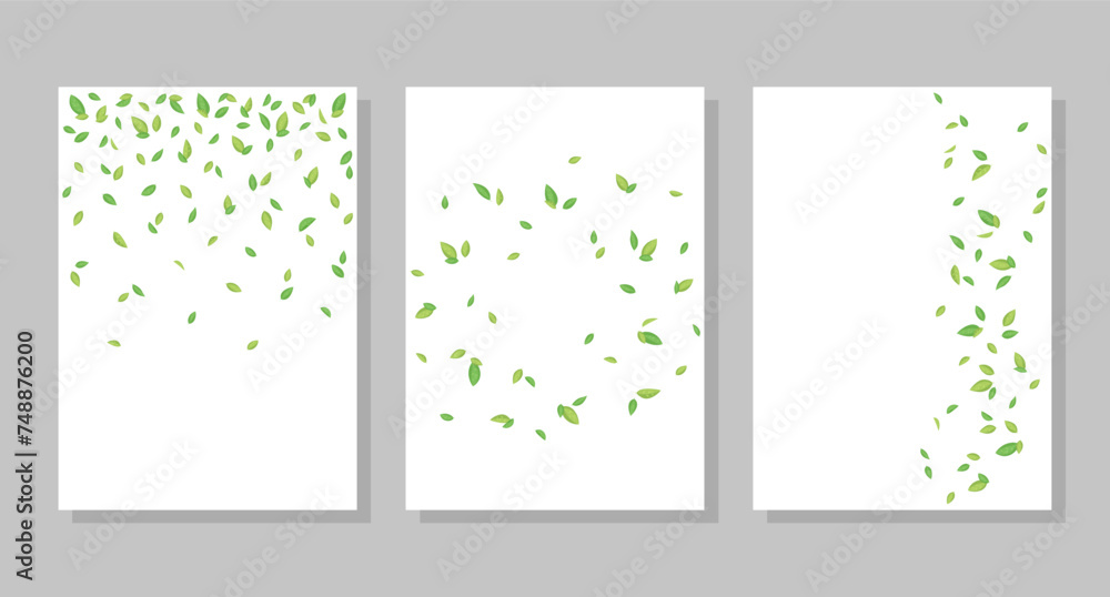 Flying green tea leaves set of postcard backgrounds. Vector illustration. Social media banner template, for stories, posts, blogs.