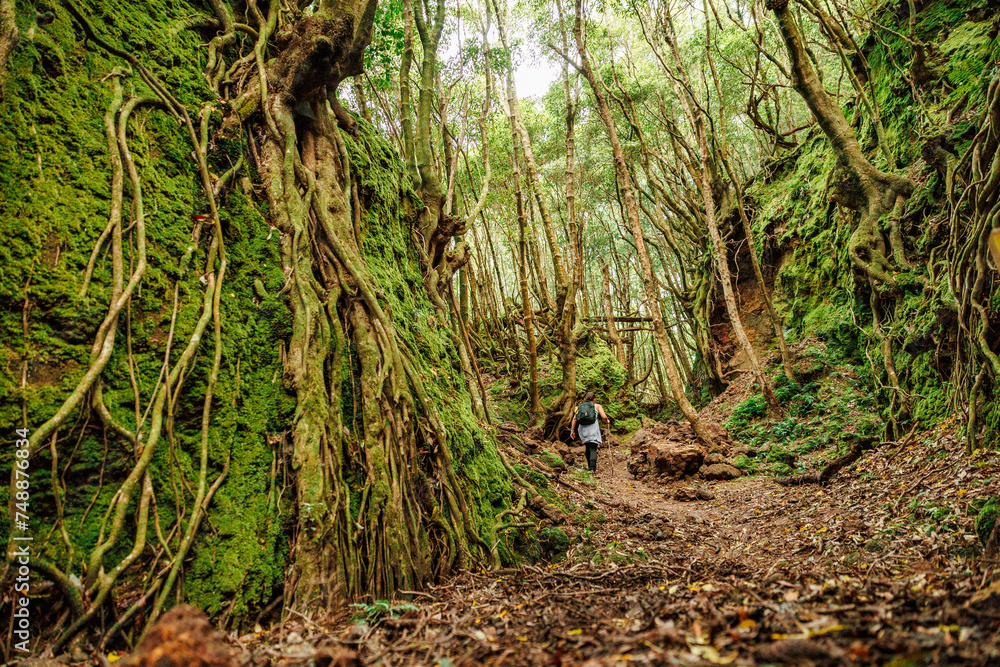 Landscapes at Azores islands, hiking at Santa Maria, Portugal, travel in Europe. Landscapes at Azores islands, hiking at Santa Maria, Portugal, travel in Europe.
