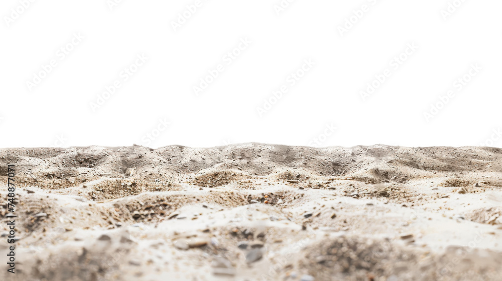 Sandy Beach Covered in Sand Sandy Beach Covered in Sand