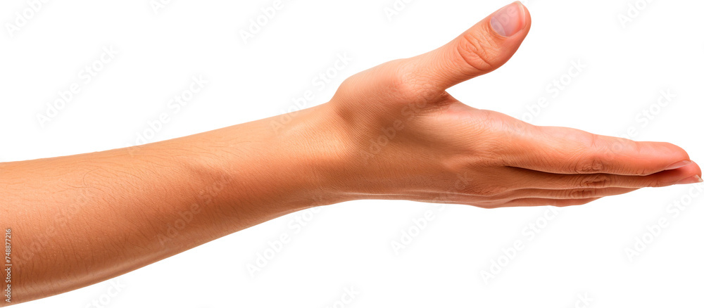 Outstretched Bare Human Hand With Palm Up Outstretched Bare Human Hand With Palm Up