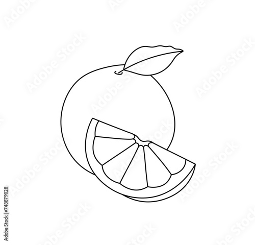 Vector isolated one whole orange fruit with a slice  colorless black and white contour line easy drawing