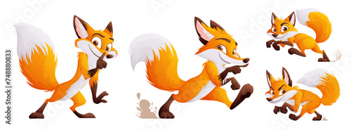 A set of four cunning but cute foxes. Adult foxes in dynamic poses. Wild animals of the forest.