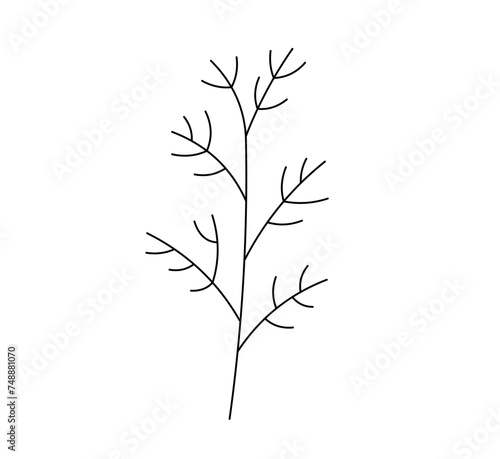 Vector isolated one single simple sprig of dill colorless black and white contour line easy drawing