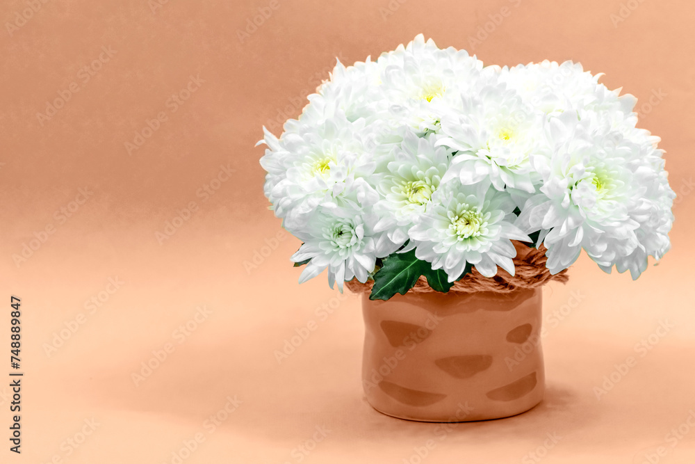 Bouquet of white chrysanthemums in a ceramic vase on a blue background. Postcard for mother's day, for March 8. Beautiful chrysanthemum flowers. Place for an inscription.
