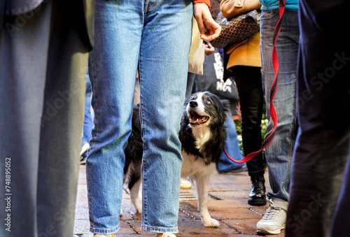 Obraz na plátně A street photography insight into the vibrant city life amidst the hustle and bu