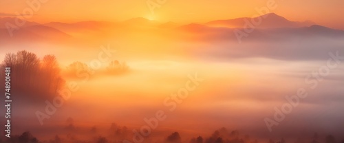 Summer background with fog in a meadow during sunrise