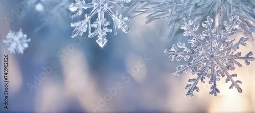 Snowflake in winter close up shot. Christmas holiday and winter background. Frost winter texture iced surface.