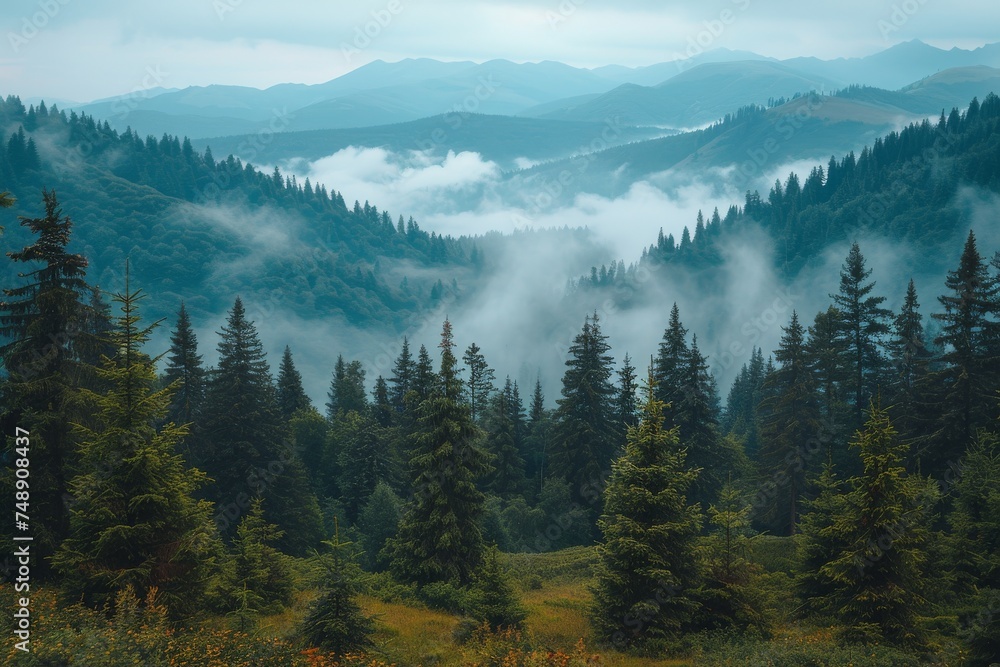 Serene forest landscape engulfed in mist, with layered mountains in the background for a tranquil effect