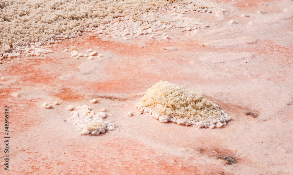Salins d’Aigues-Mortes, Camargue, France. Europe's largest salt marshes Salin-de-Giraud, sea salt production. Pink salt marshes.