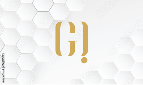 QG QG  G  Q  Abstract Letters Logo Monogram
