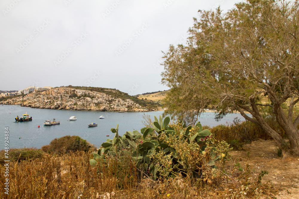 Obraz premium lake and trees