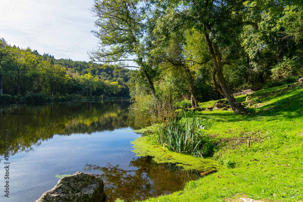 En été, un espace verdoyant entouré d'arbres borde le Blavet, offrant un havre de paix au cœur de la nature dans le Morbihan, en Bretagne.