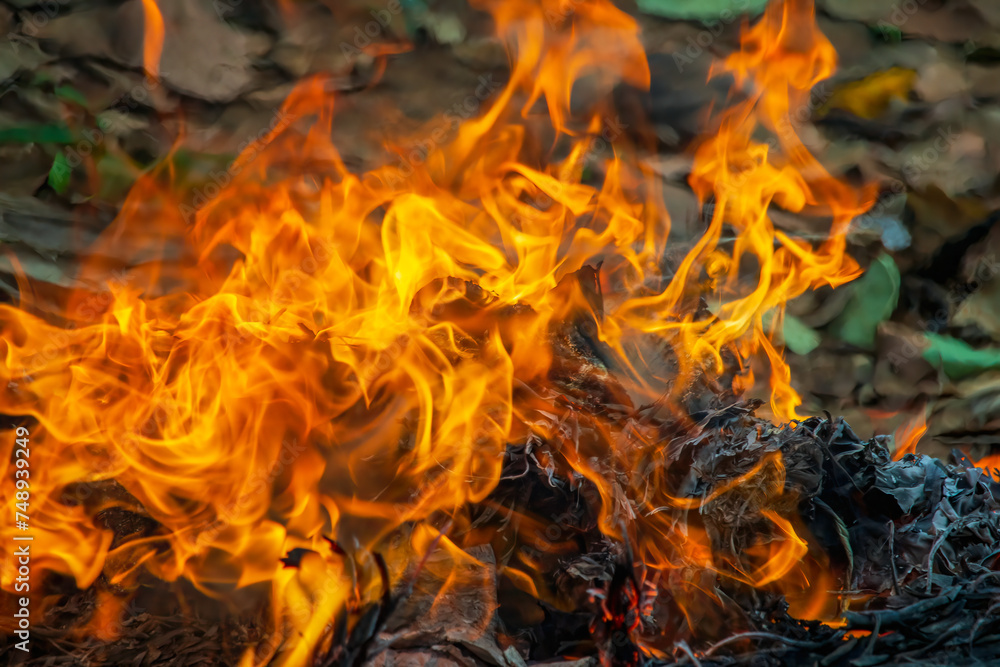 Slow motion flame fire burning garbage waste. Slow motion flame fire burning garbage waste.