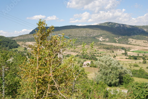 vineyard in the mountains near Verdon