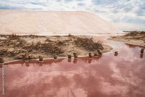Obraz na płótnie Salins d’Aigues-Mortes, Camargue, France. Europe's largest salt marshes Salin-de-Giraud, sea salt production. Pink salt marshes.
w salonie