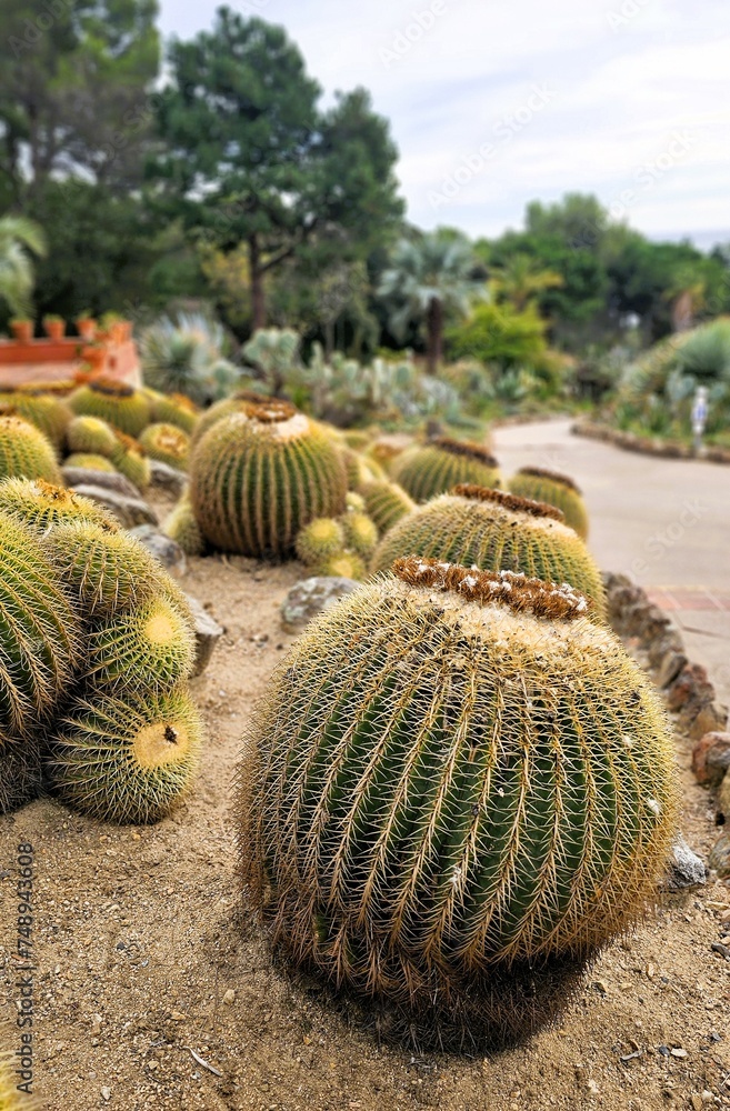 Unusual Cactus Park in Catalonia Unusual Cactus Park in Catalonia