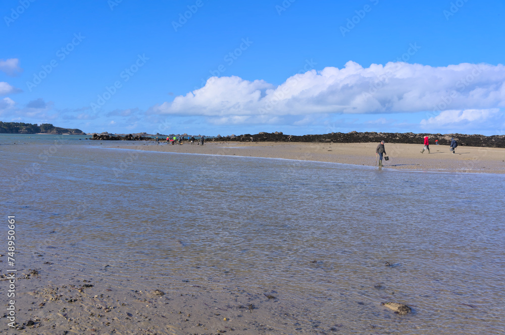 People fishing during low tide in the bay of Lancieux, Brittany, France People fishing during low tide in the bay of Lancieux, Brittany, France