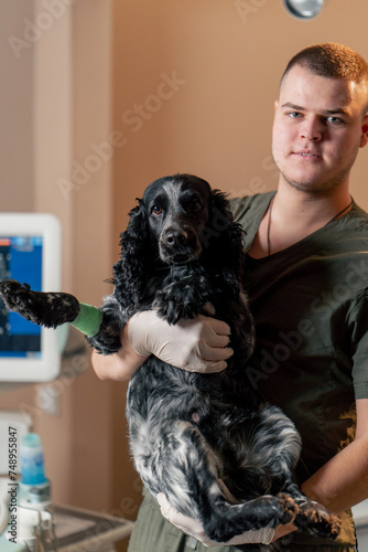 In a veterinary clinic a spotted spaniel is held by a doctor in his arms like a child