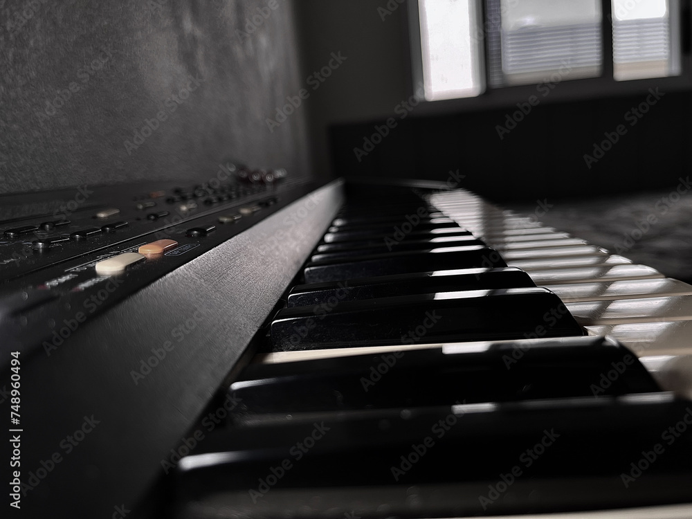 Details of the keys on a music keyboard