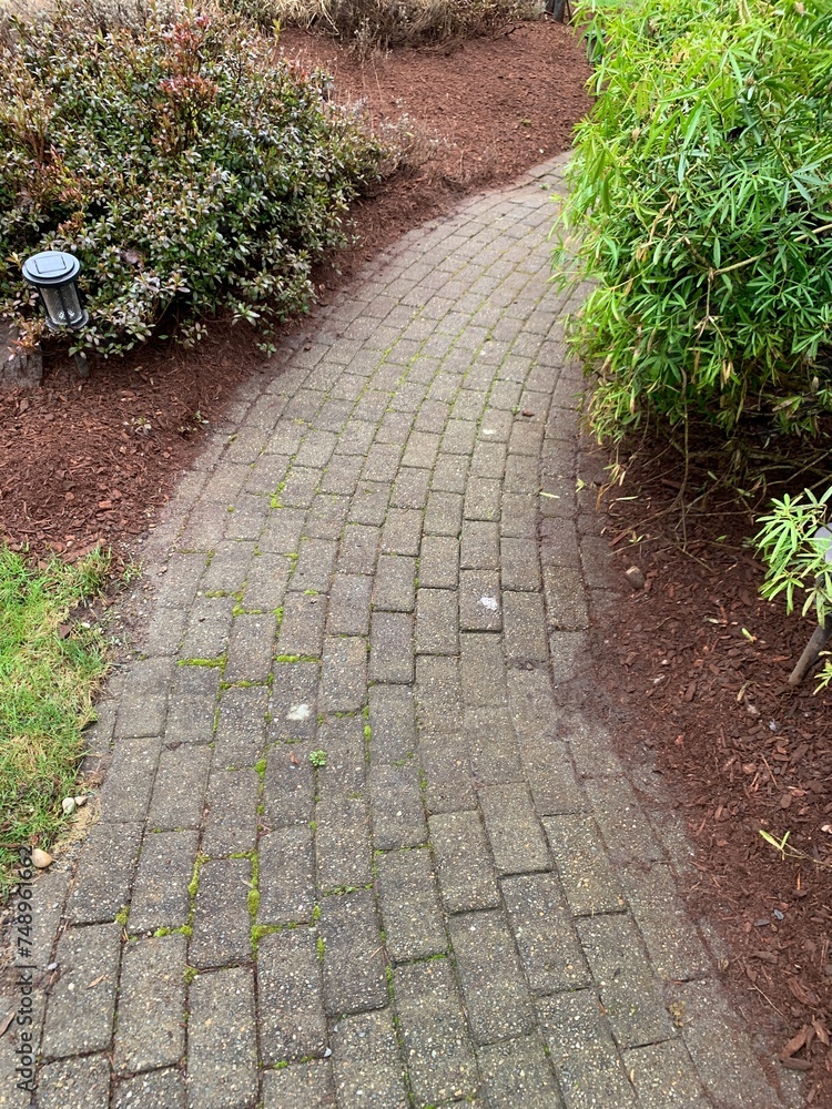 Obraz premium Paver path with fresh bark on the sides