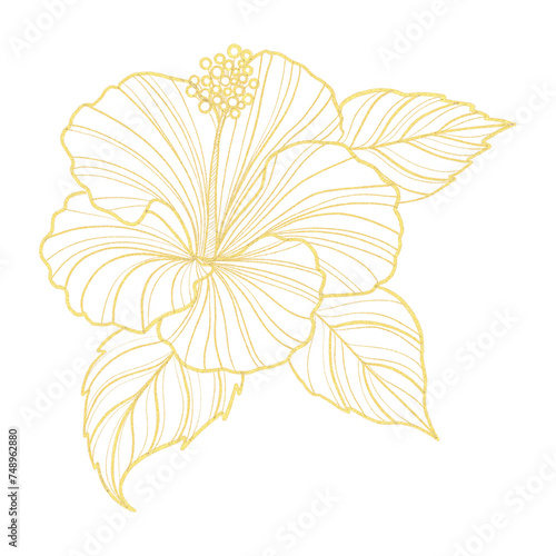 Gold outline illustration with tropical flower © MariiaMart