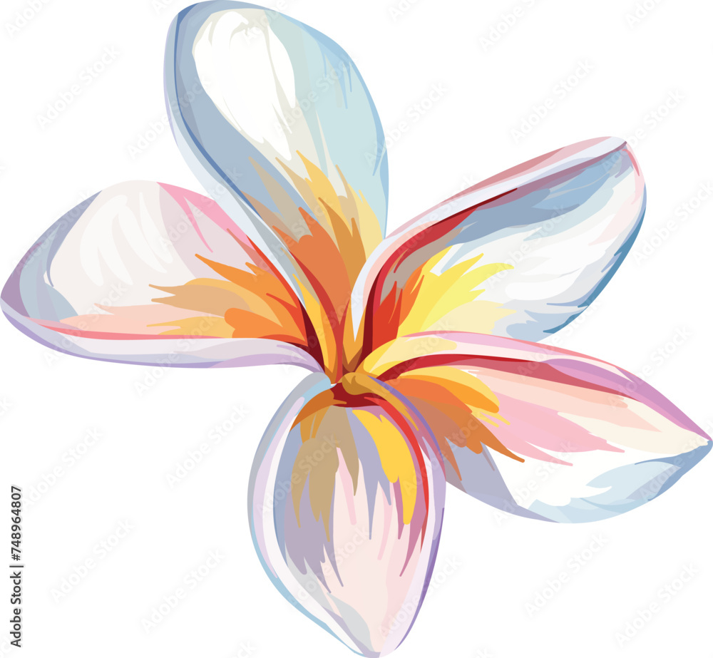 Paradise flower plumeria vector hand drawing. Tropical flower, exotic plant. Bright plant