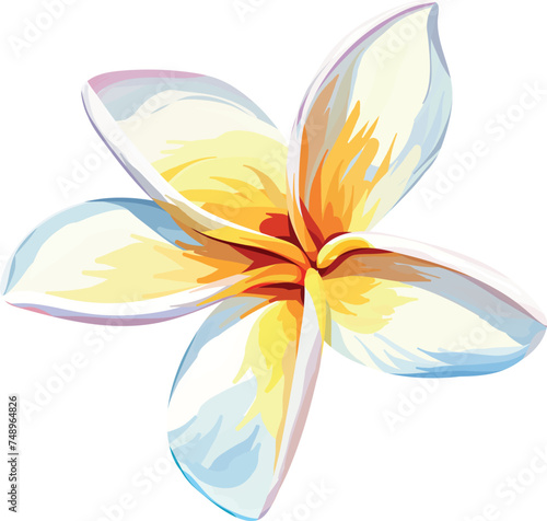 Paradise flower plumeria vector hand drawing. Tropical flower, exotic plant. Bright plant