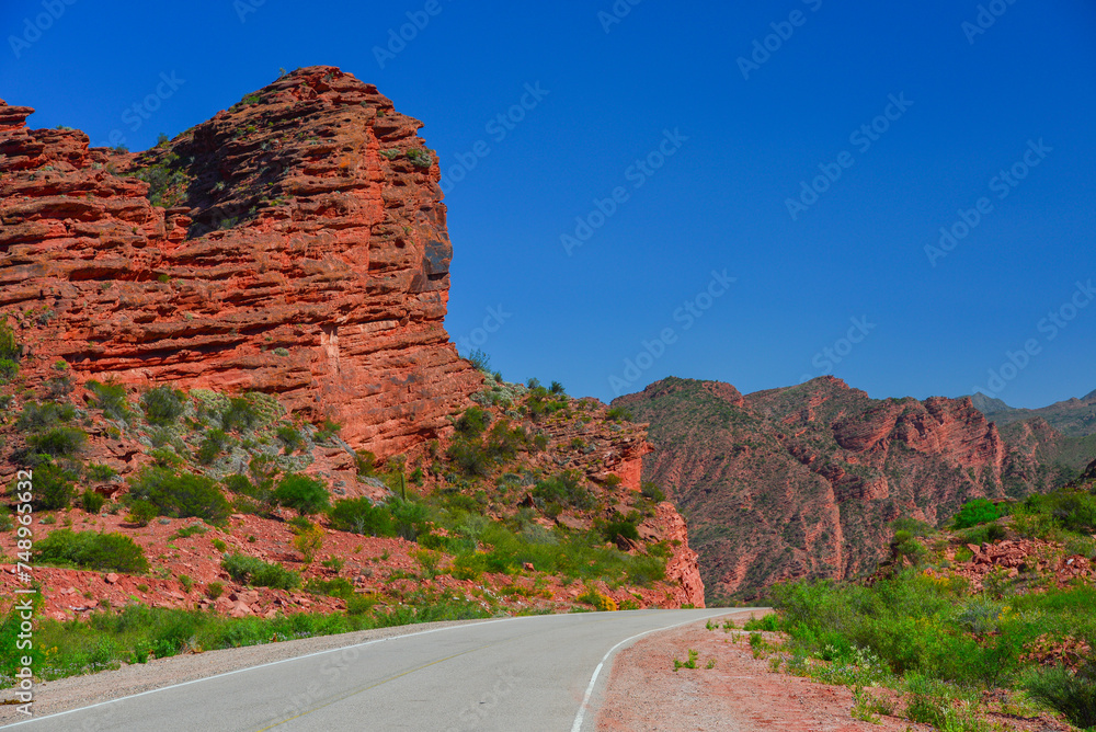 Red rock landscape on the scenic Cuesta de Miranda stretch of the famous Ruta 40 National Route, La Rioja Province, Argentina. Red rock landscape on the scenic Cuesta de Miranda stretch of the famous Ruta 40 National Route, La Rioja Province, Argentina.
