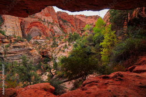 An alcove on the Canyon Overlook trail above the narrow and deep Pine Creek Canyon, Zion National Park, Utah, Southwest USA