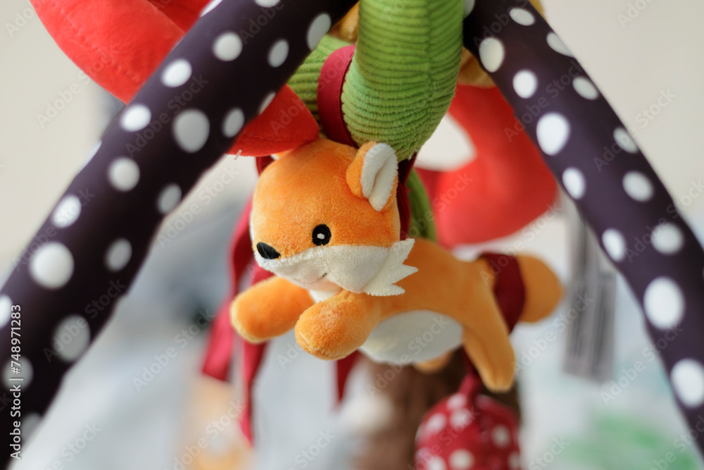Toy fox