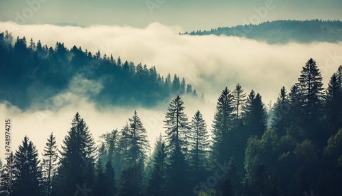 misty landscape with fir forest in vintage retro style © Adrian