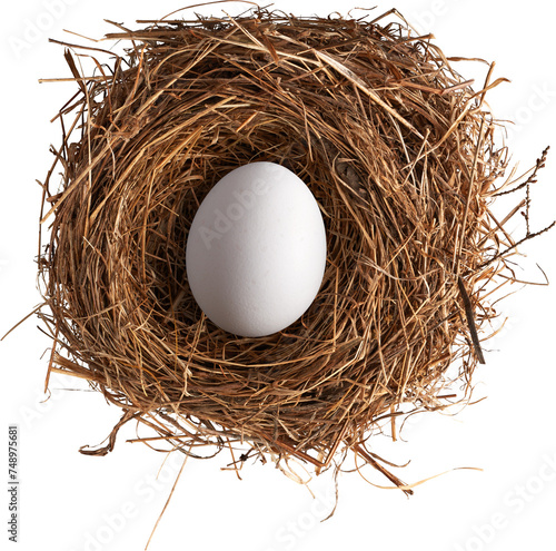 Foto White egg in dry straw bird nest top view isolated on transparent background