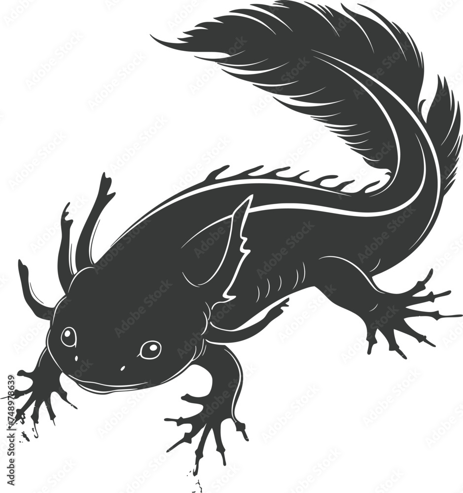 Naklejka premium Silhouette Axolotl animal black color only full
