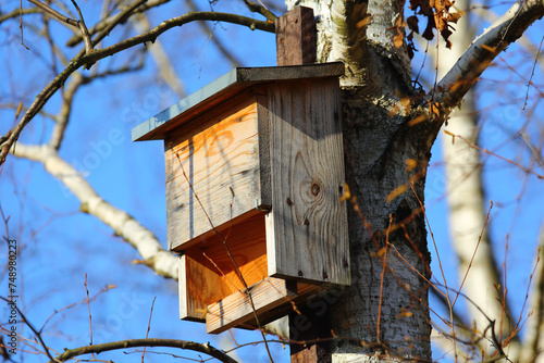 Bat house attached to tree trunk