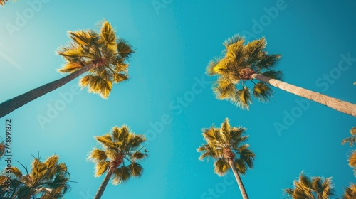 A minimalist composition of tall palm trees against a bright blue sky, creati...