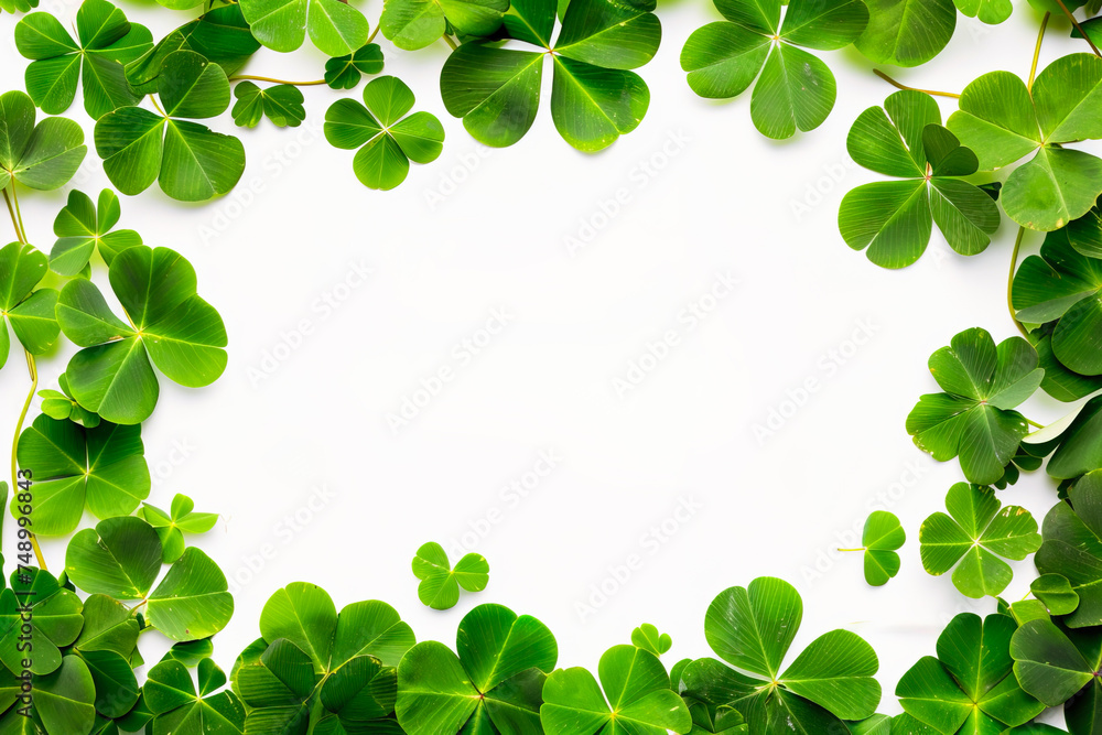 Natural clovers frame over white background with copy space in the middle Natural clovers frame over white background with copy space in the middle