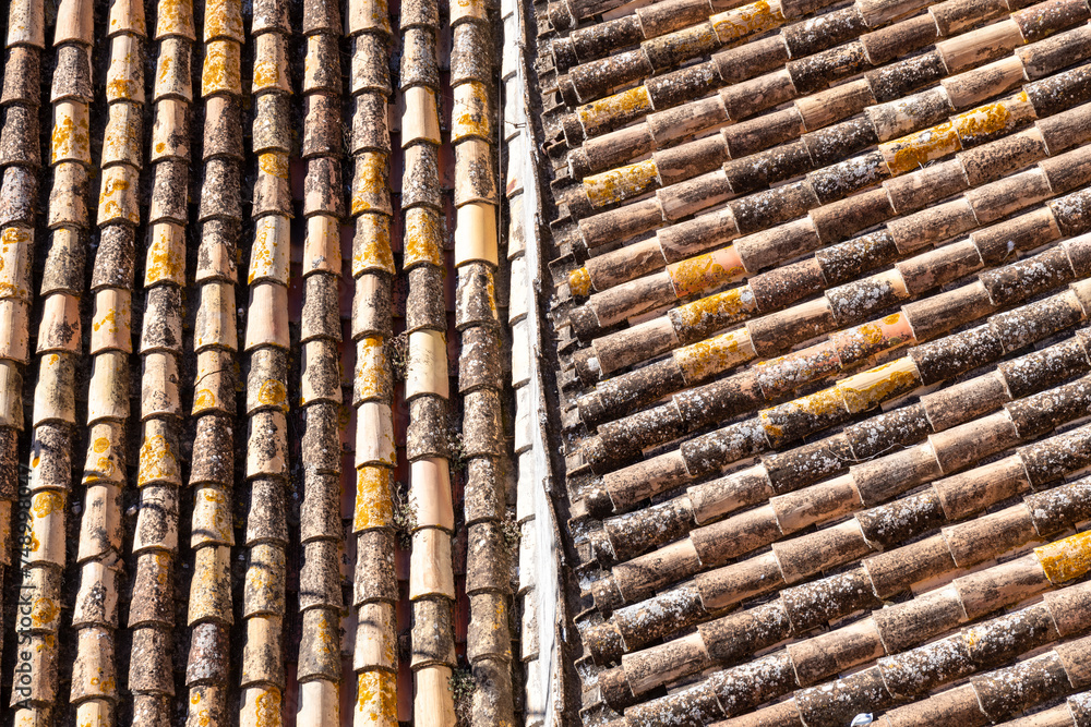Close-up of Weathered Terracotta Roof Tiles in Spain Close-up of Weathered Terracotta Roof Tiles in Spain
