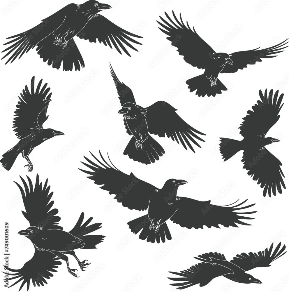Silhouette crow bird fly black color only full body Silhouette crow bird fly black color only full body