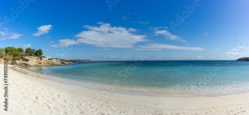 Pristine Beach Panorama with Crystal Clear Waters and Lush Greenery on a Sunny Day