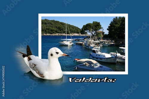 Postcard design for Valdarke, island Losinj, Croatia #749005612