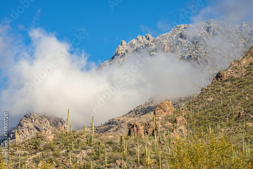 Mt Lemmon in Tucson Arizona