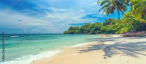 white sand and coco palms travel tourism wide panorama background © gacor
