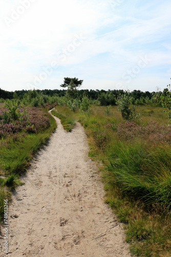 hiking path  Cross border park De Zoom  Kalmthout  Belgium  the Netherlands
