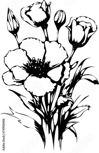 black and white roses